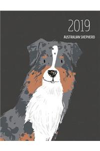 2019 Australian Shepherd