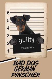 Bad Dog German Pinscher