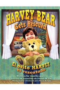 Harvey Bear Gets Rescued