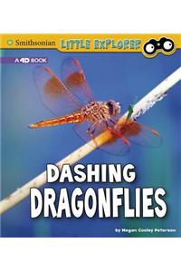 Little Entomologist 4D Dashing Dragonflies a 4D Book
