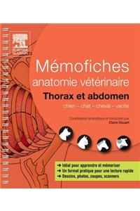 Mémofiches Anatomie Vétérinaire - Thorax Et Abdomen