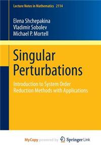 Singular Perturbations