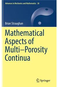 Mathematical Aspects of Multi-Porosity Continua
