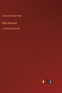 Felix Notvest: in Großdruckschrift