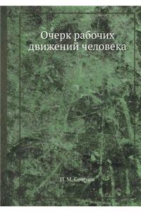 Очерк рабочих движений человека