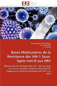 Bases moléculaires de la résistance des vih-1 sous-types non-b aux arv