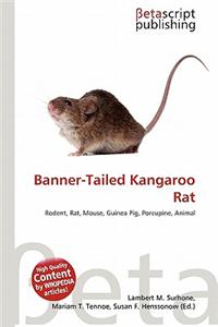 Banner-Tailed Kangaroo Rat