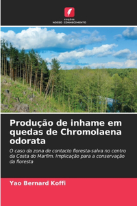 Produção de inhame em quedas de Chromolaena odorata