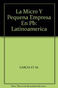La Micro Y Pequena Empresa En Pb