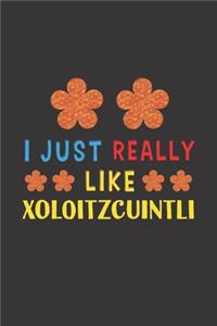 I Just Really Like Xoloitzcuintli