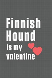 Finnish Hound is my valentine