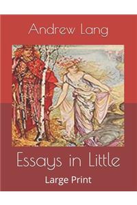 Essays in Little