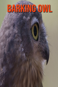 Barking Owl