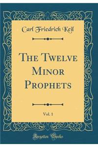 The Twelve Minor Prophets, Vol. 1 (Classic Reprint)