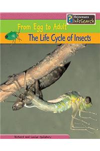 The Life Cycle of Insects