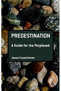 Predestination: A Guide for the Perplexed