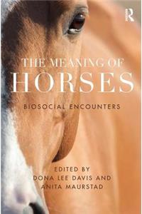 Meaning of Horses
