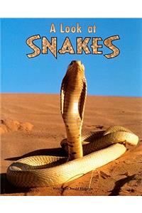 A Look at Snakes