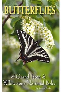 Butterflies of Grand Teton & Yellowstone National Parks