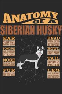 Anatomy Of A Siberian Husky
