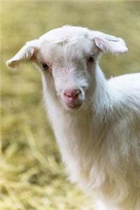 Gabi Goat Gazes Graciously for her Portrait Journal