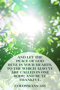 General Worship Bulletin - Let the Peace (Package of 100)