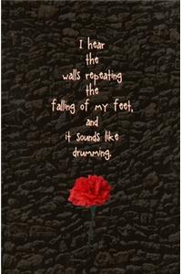 I hear the walls repeating the falling of my feet, and it sounds like drumming.