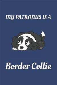 My Patronus Is a Border Collie