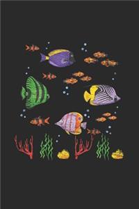 Fish With Corals