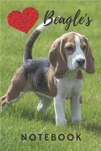 Beagle Notebook