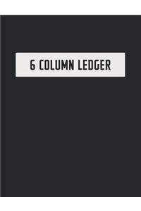 6 Column Ledger