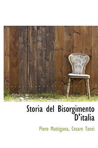 Storia del Bisorgimento D'Italia