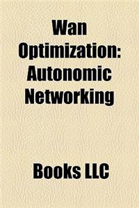 WAN Optimization