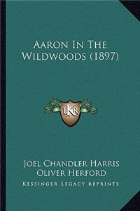 Aaron in the Wildwoods (1897)