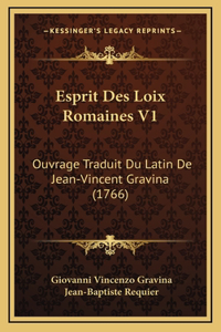 Esprit Des Loix Romaines V1