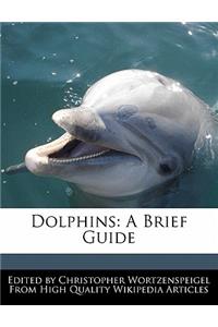 Dolphins: A Brief Guide