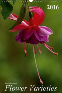 Flower Varieties 2016
