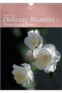 Delicate Beauties - Magnificent Roses 2017