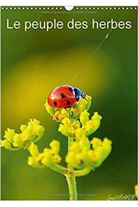 Le Peuple Des Herbes 2017
