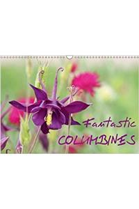 Fantastic Columbines 2018