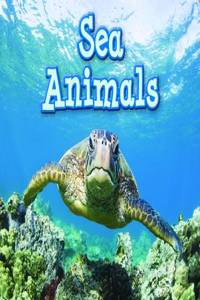 Sea Animals