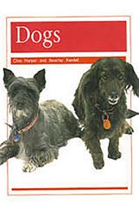 Pets: Dogs