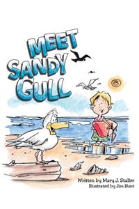 Meet Sandy Gull
