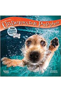 Underwater Puppies 2018 Calendar