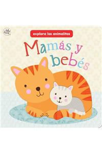 Mamas y Bebes