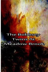 Bobbsey Twins At Meadow Brook