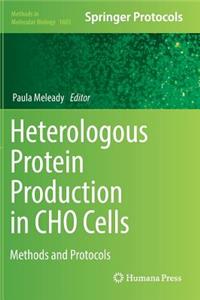 Heterologous Protein Production in Cho Cells