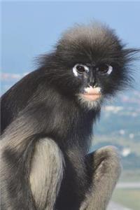 Dusky Leaf Monkey Journal: 150 Page Lined Notebook/Diary