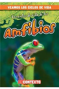 Ciclos de Vida de Los Anfibios (Amphibian Life Cycles)