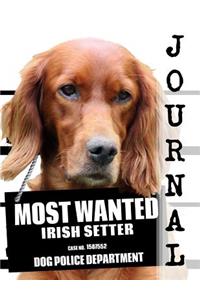 Most Wanted Irish Setter Journal